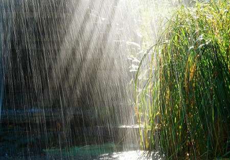 متوسط بارندگی در لرستان 25 میلی متر اعلام شد
