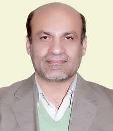مشروطه، انقلابی اصیل و خودجوش