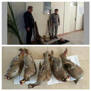 2 شکارچی متخلف در مشگین شهر دستگیر شدند