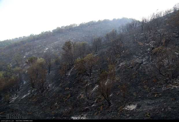 پیکر جانباختگان آتش سوزی جنگل های مریوان تشییع شد
