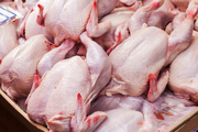 چهار تن گوشت مرغ غیر بهداشتی در شازند کشف شد