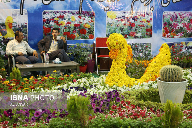 برپایی نمایشگاه گل و گیاه در اردبیل