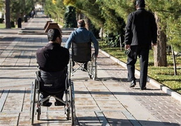 سالانه100 هزار نفر در اثر تصادف در کشور دچار معلولیت می شوند