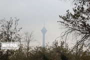 تهران روزهای ناسالم کمتری داشت اگر قانون هوای پاک اجرایی می‌شد