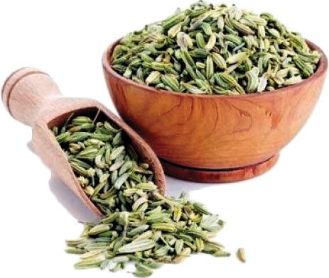 ۳ گیاه آرام‌بخشِ معده
