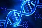 
علل ژنتیکی سه بیماری نادر کشف شد