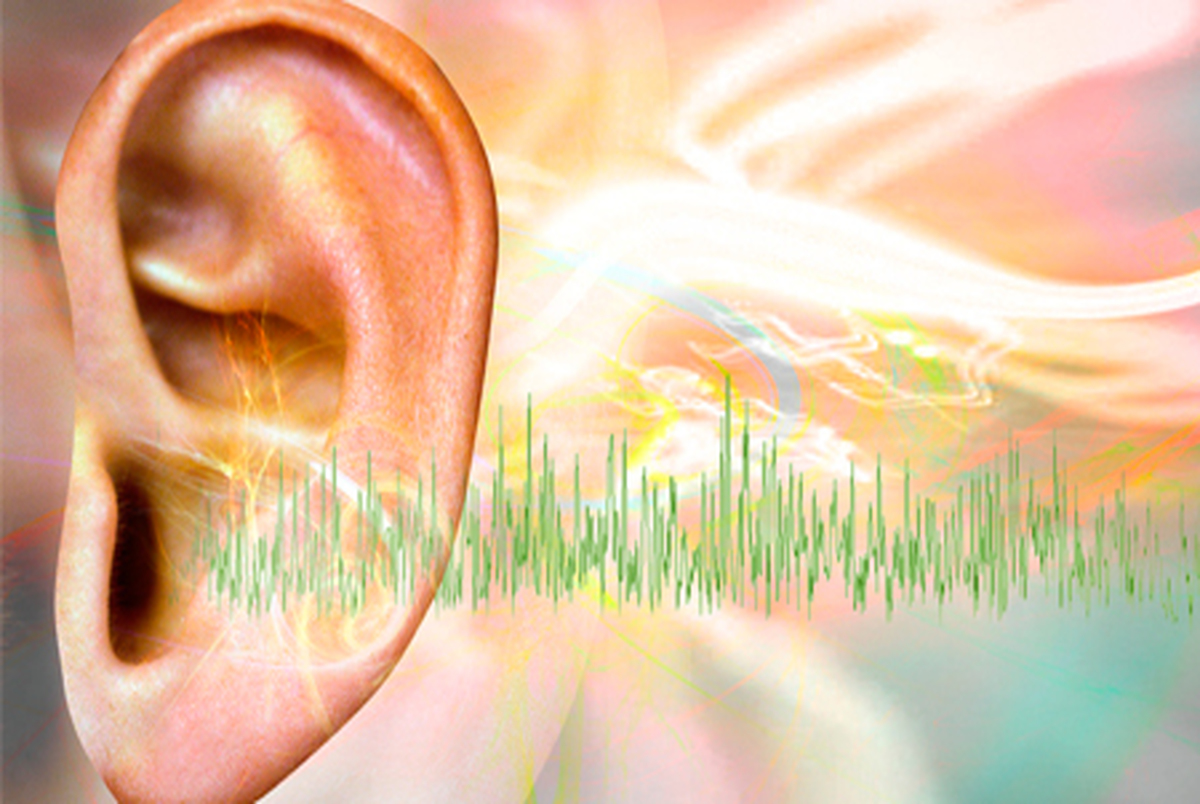 مواد غذایی مفید برای درمان وزوز گوش