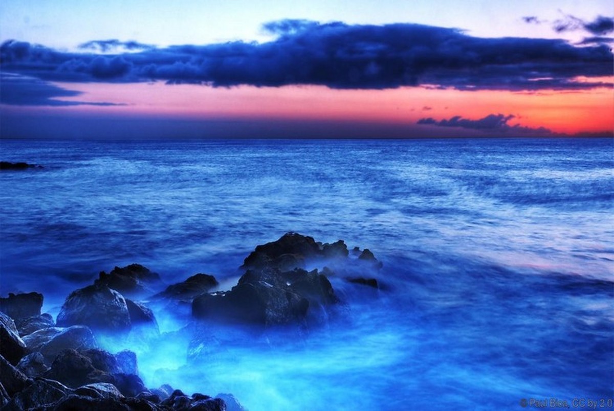 گزارش روز: آیا دریا واقعا آبی رنگ است؟