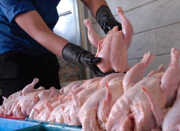 خراسان شمالی توانمندی صادرات گوشت مرغ را دارد
