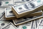 دولت لایحه حذف ارز 4200 تومانی را پس نگرفته است/ رئیسی تایید کرد
