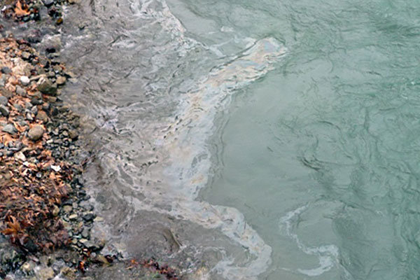 بلایی به‌نام سوخت فسیلی  نفت هنوز رودخانه کرج را تهدید می‌کند