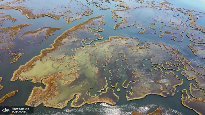 منتخب تصاویر امروز جهان - 11 مرداد 1401