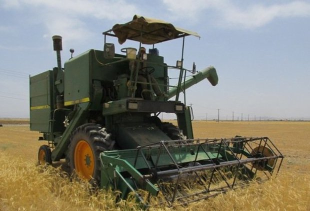 خرید گندم مازاد کشاورزان بوشهر 12 هزار تن کاهش یافت