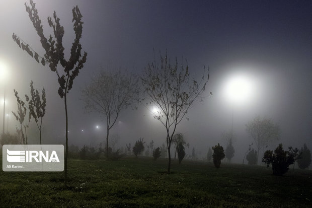 آلودگی هوا مدارس و دانشگاه‌های ساوه را تعطیل کرد