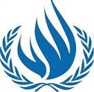 سازمان ملل تحقیق درباره حملات اسرائیل به غزه را تصویب کرد