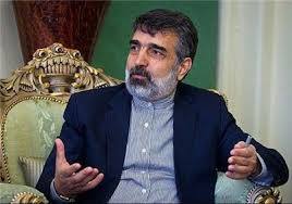کمالوندی: ایران حداقل به 50هزار سانتریفیوژ نیاز دارد