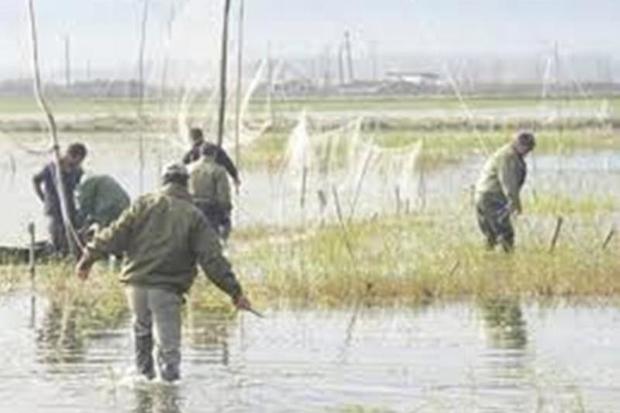 کند شدن طرح برخورد با شکارچیان غیرمجاز در مازندران