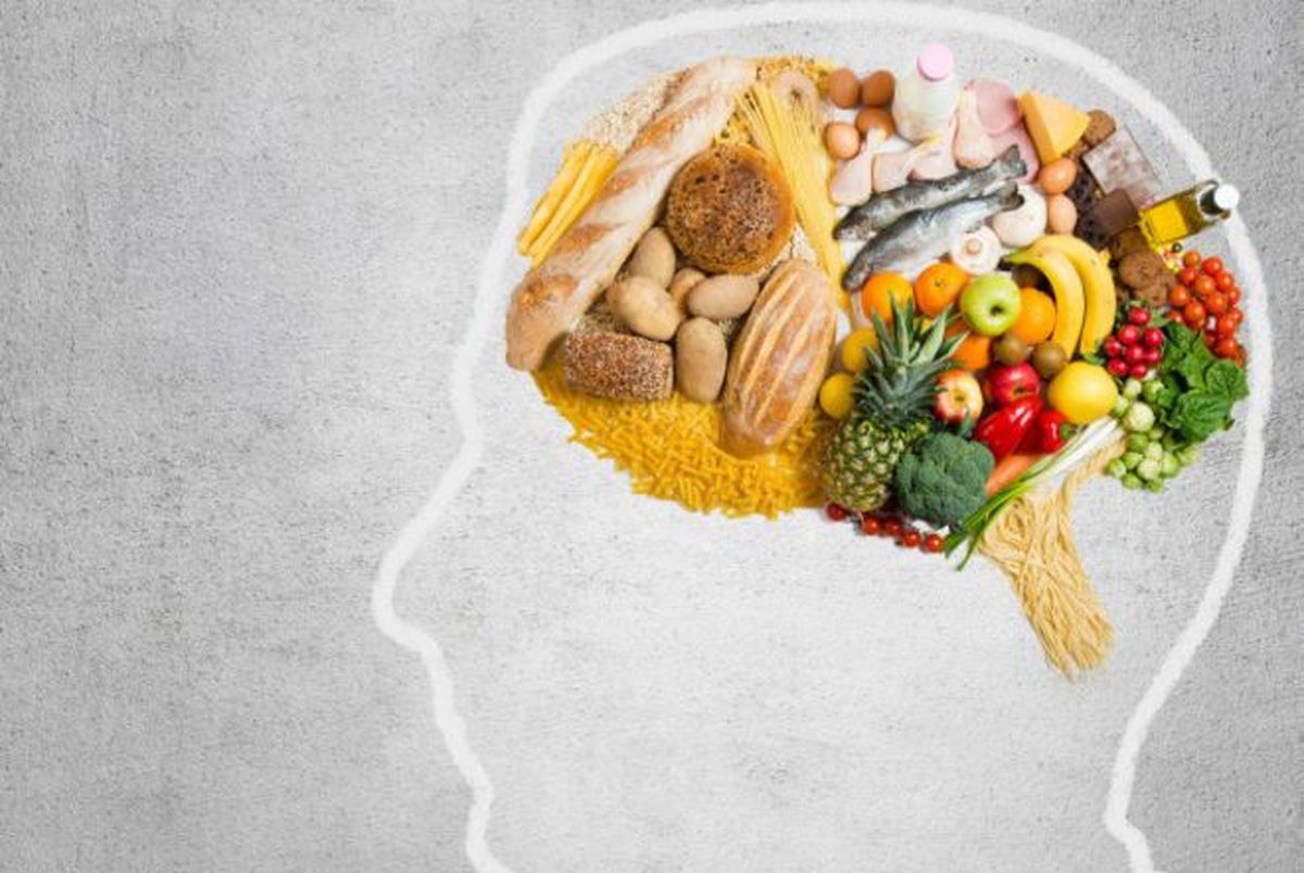 تغذیه چگونه در کارکرد مغز انسان تاثیر گذاشت؟