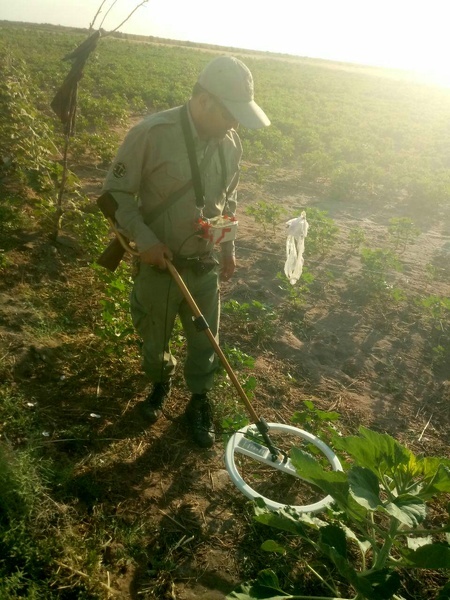 تله‌های صیادی  مزارع اطراف منطقه حفاظت شده رئیسی جمع آوری شد
