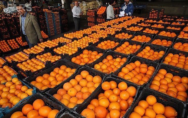 ذخیره سازی 2500 تن میوه شب عید در سردخانه های خوزستان
