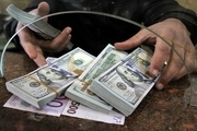 قاچاقچیان ارز در سکه فروشی بازداشت شدند