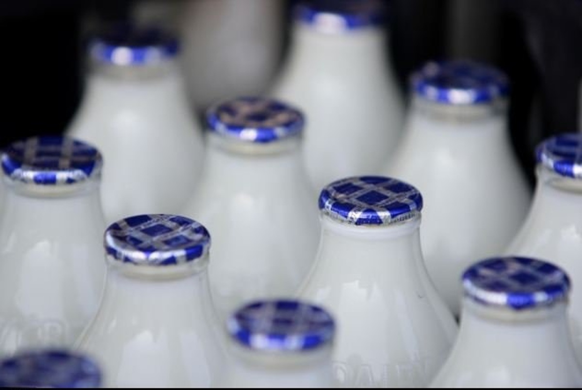 افزایش ۶ درصدی قیمت شیر در سه روز اخیر