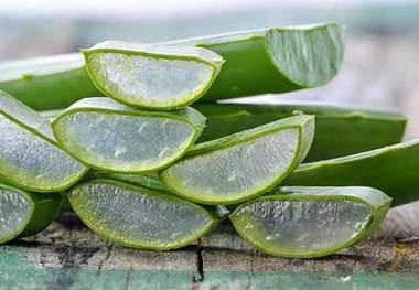 خواص شگفت‌انگیز آلوئه‌ورا برای سلامتی