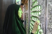 هشدار یک عضو شورا در مورد تخریب یک بنای تاریخی در منطقه 15 تهران