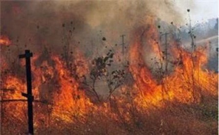 42هکتار از اراضی ملی فارس در آتش سوخت