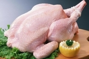 رییس اتحادیه: قیمت مرغ 50 درصد کاهش می یابد