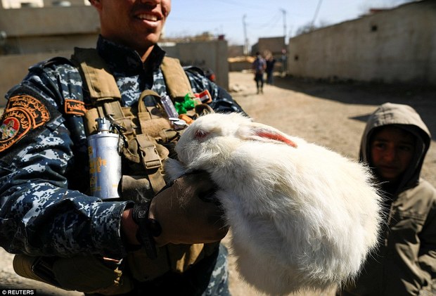 عکس/ خرگوش نجات یافته از دست داعش