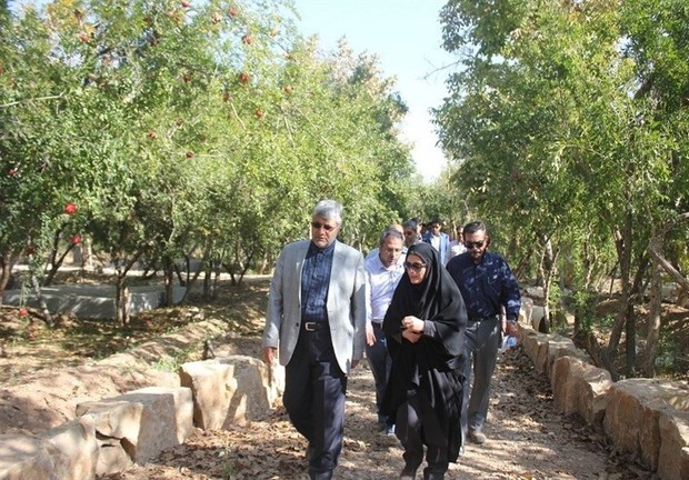 شهرداری بخشی از باغ‌های شیراز را خریداری می‌کند