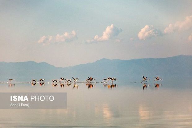 افزایش ۴۷۰ میلیون مترمکعبی حجم آب دریاچه ارومیه