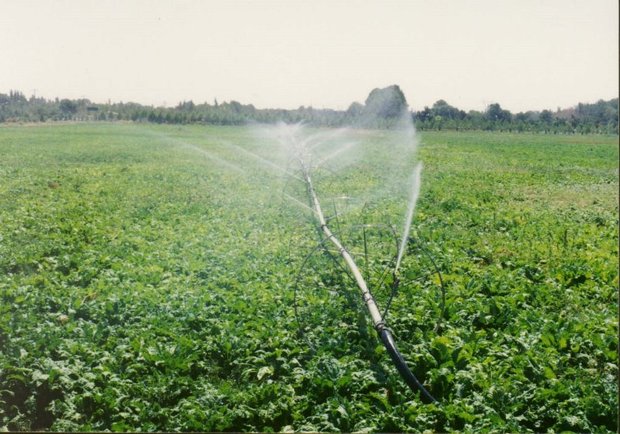 3000هکتار از اراضی کشاورزی بروجرد تحت پوشش آبیاری نوین است