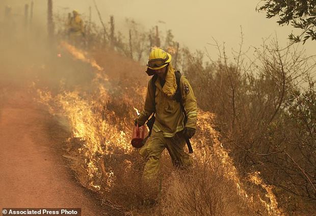 مرگبارترین آتش سوزی تاریخ کالیفرنیا+ تصاویر