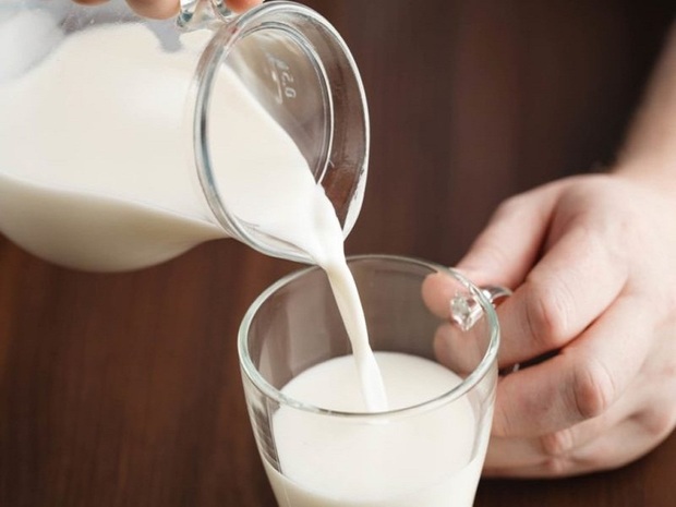 مردم از مصرف شیر خام شتر خودداری کنند