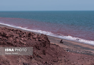امور ثبتی بخش هرمز به بندرعباس واگذار شد