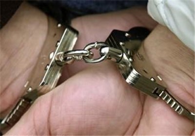 هفت سارق با 33 فقره سرقت در شهرستان شوش شناسایی و دستگیر شدند
