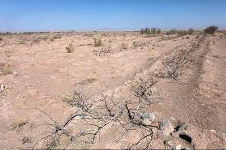 خشکسالی بسیار شدید در 94 درصد از مساحت چهارمحال و بختیاری