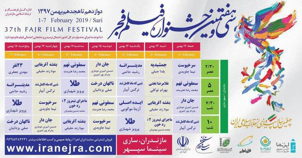 تعداد فیلم های قابل اکران سودای سیمرغ در مازندران به 13 رسید