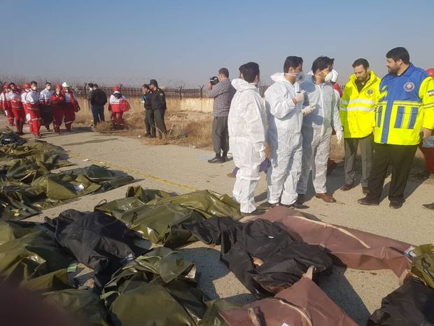 جسدهای جمع‌آوری شده سانحه سقوط هواپیما به پزشکی قانونی تحویل شد