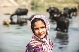 زندگی در کوچه‌های گاومیش‌آباد