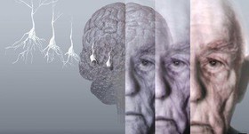 خواندن و نوشتن مداوم، سپر مغز در برابر زوال
