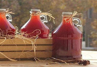 آیا آبغوره در لاغری و کنترل وزن تاثیر دارد؟
