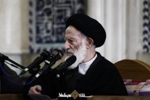 حضرت آیت الله شبیری زنجانی: ملاک در اتصاف فضولی بر عاقد عدم سلطه بر عقد است