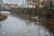 سه  ماه و یک روز حبس برای آلوده کننده رودخانه زرجوب رشت