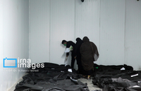 شناسایی شهدای دبستان میناب (50)