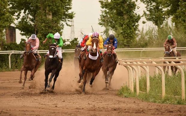 61 اسب در هفته دهم مسابقات اسبدوانی گنبدکاووس رقابت کردند