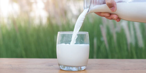 مصرف شیر در کشور ما کمتر از نصف متوسط جهانی است