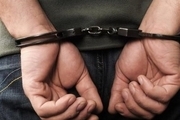 هشت نفر از اعضای شرکت هرمی یونیک فاینانس در کرمان دستگیر شدند